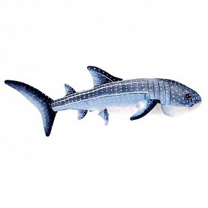 Мягкая игрушка «Акула китовая», цвет серый