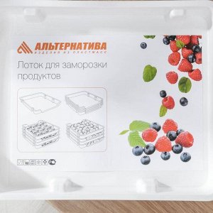 Набор лотков для заморозки продуктов Альтернатива, пластик, 34?29?9 см, 4 шт., белый