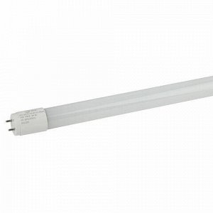 Лампа-трубка светодиодная ЭРА Эко, 10 Вт, 25000 ч, 600 мм, холодный белый, ECO LED T8-10W-865-G13-600mm