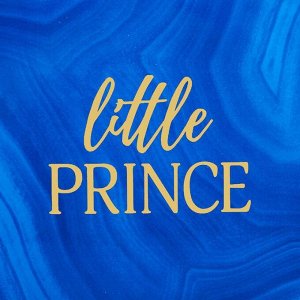 Нагрудник "Little prince"  непромокаемый на липучке
