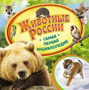 Животные России 36стр., 225х225х5мм, Твердый переплет