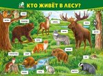 Плакат &quot;Кто живёт в лесу&quot;