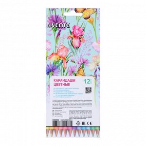 Карандаши 12 цветов, deVENTE Trio Mega Soft Pastel, трехгранный корпус, супер мягкие, 4M, грифель d-3мм, пастельные цвета