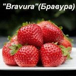 Bravura Рекомендую!!! Показывает отличный результат