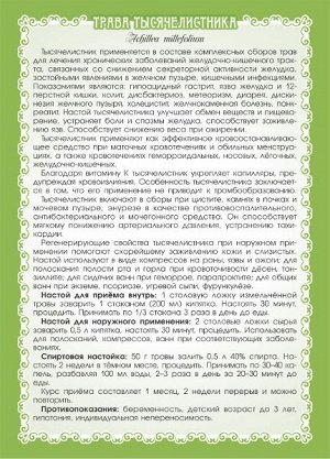 Тысячелистник (трава и цветы) 50 гр