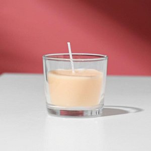 Свеча ароматическая в стакане АЛАНИЯ "Пряное яблоко"