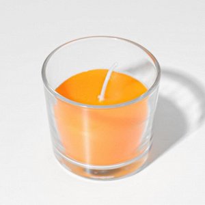 Свеча ароматическая в стакане АЛАНИЯ &quot;Сочное манго&quot;