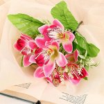 Букет &quot;Альстромерия&quot; 24 см, микс