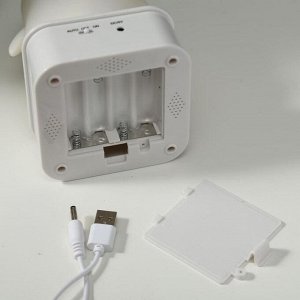 Фигурка световая RISALUX «Утёнок», LED-ночник, от батареек 4xАА, USB, RGB, 9x9x15.5 см, МИКС