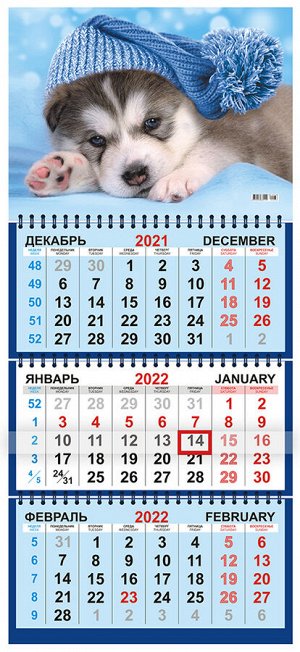 Квартальный календарь на 2022 год "Собака"