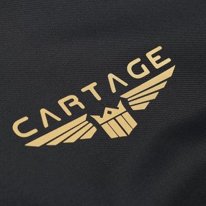 Термосумка Cartage Т-02, черная, 17-18 литров, 35х21х24 см