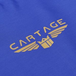 Термосумка Cartage Т-04, синяя, 17-18 литров, 35х21х24 см