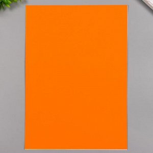 Цветная бумага А4 тонированная (набор 8 лист) 8 цв. в папке "Яркие цветы" 80 гр/м2