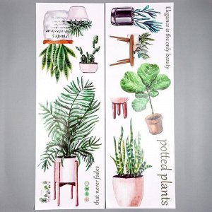 Наклейка пластик интерьерная цветная "Домашние растения" 30х90 см набор 2 листа