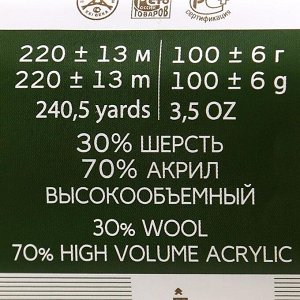 Пряжа "Народная" 30% шерсть, 70% акрил объёмный 220м/100гр (279-Шампанское)