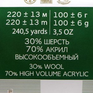 Пряжа "Народная" 30% шерсть, 70% акрил объёмный 220м/100гр (42-Слива)