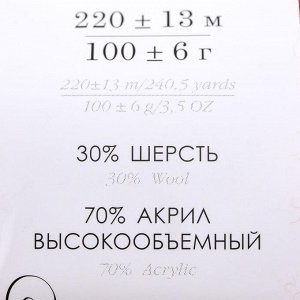 Пряжа "Народная" 30% шерсть, 70% акрил объёмный 220м/100гр (30-св.терракот)