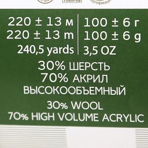 Пряжа "Народная" 30% шерсть, 70% акрил объёмный 220м/100гр (30-св.терракот)