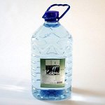 Вода ШКОТОВСКИЕ КЛЮЧИ негазированная