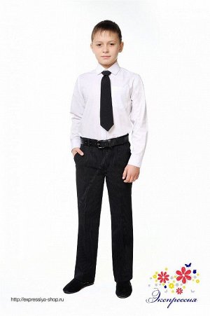 Экспрессия Школьные брюки для мальчика утепленные 163-10