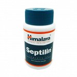 Септилин (Septilin) для укрепления иммунитета Himalaya 60 таб