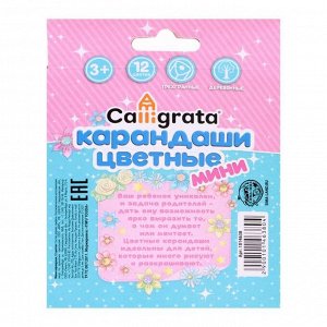Карандаши цветные 12 цветов Calligrata «Принцесса», МИНИ в картонной коробке, корпус треугольный, деревянный