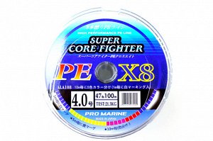 Плетеный шнур Promarine Super Core Fighter №4.0 PE X8 (100м, 47lb, 21.3кг, 8PE, multicolor)