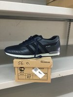 Спорт