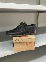 Спорт