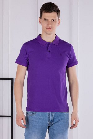 Футболка Модель: поло. Цвет: фиолетовый. Комплектация: футболка. Состав: хлопок-95%, эластан-5%. Бренд: Tricko. Фактура: однотонная.