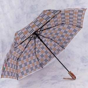Зонт 1.7504-04