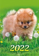 Карманный календарь на 2022 год &quot;Собаки&quot;