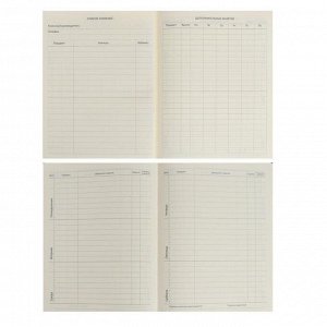 Дневник универсальный для 1-11 классов Minty with pocket, твёрдая обложка, тиснение фольгой, тонированный блок, 48 листов