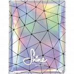 Дневник универсальный для 1-11 классов Shine, твёрдая обложка, искусственная кожа, шелкография, ляссе, 48 листов