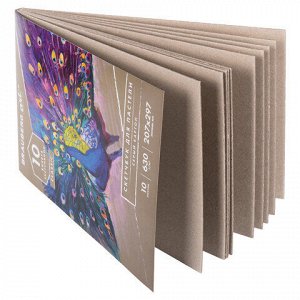 Альбом для пастели, картон СЕРЫЙ некрашенный 630 г/м2, 207х297 мм, 10 л., BRAUBERG ART CLASSIC, 105916