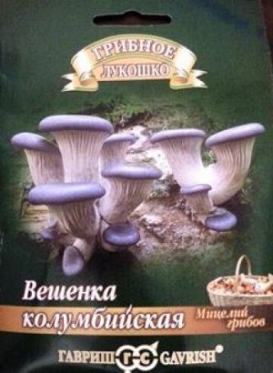 Грибы Вешенка Колумбийская (Код: 82743)