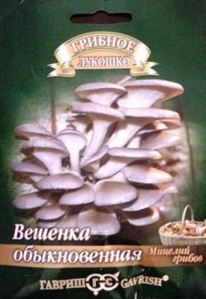 Грибы Вешенка Обыкновенная (Код: 82745)