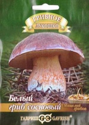 Грибы Белый гриб Сосновый (Код: 82182)