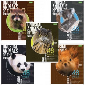 Тетрадь А5 48 л. HATBER-ECO, скоба, клетка, обложка картон, "Animals", 48Т5C1