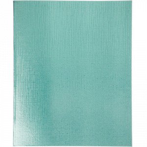 Тетрадь бумвинил А5 48 л. скоба, офсет №1, клетка, "МЯТА Metallic", HATBER, 019692, 48Т5бвВ1