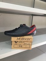 Спорт