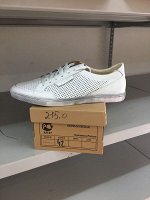 Спорт