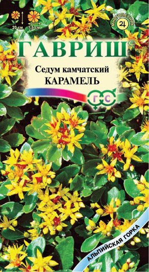 Очиток Карамель (камчатский) * 0,01 г серия Альпийская горка