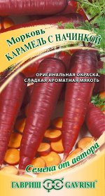 Морковь Карамель с начинкой 150 шт. автор. Н19