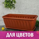 Товары для цветов и сада