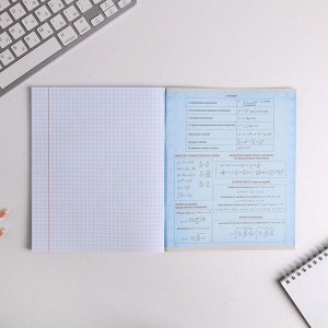 Предметная тетрадь, 48 листов, уф-лак ШРИФТЫ со справочными материалами «Алгебра»