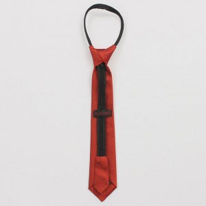 ALOLIKA Практичный галстук в полоску, 30 см