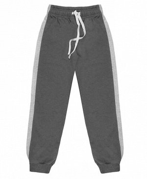 Серые спортивные брюки для мальчика с лампасами и шнурком Цвет: серый