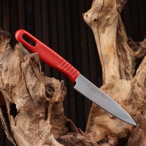 Нож туристический "Степь" 19,6см, клинок 98мм/0,7мм, микс