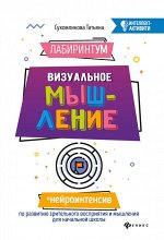 ЛабиринтУМ:визуальное мышление дп